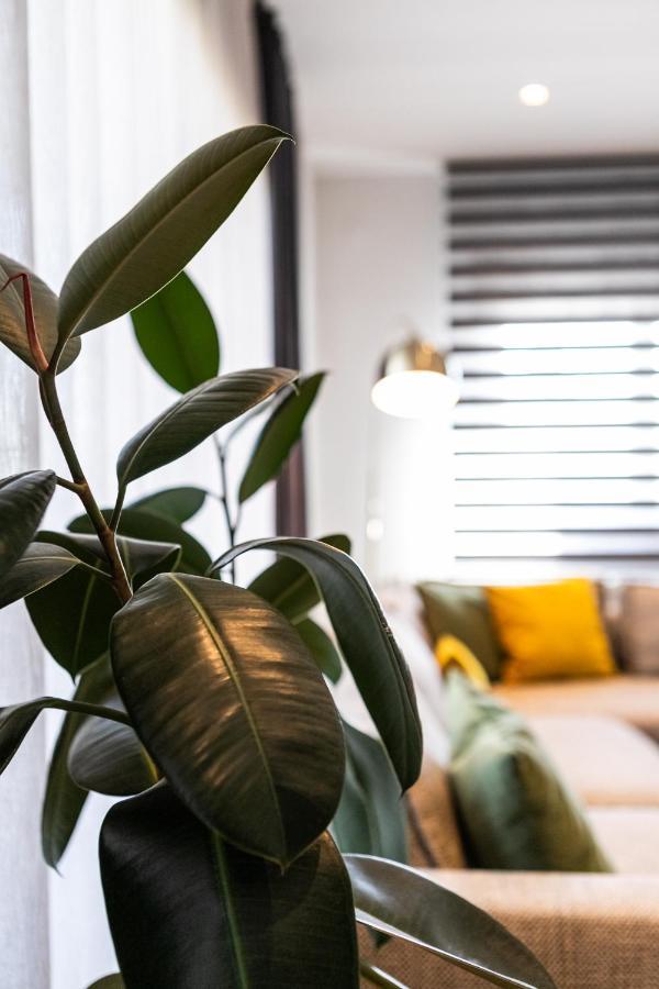Aegli Central Luxury Apartment Alexandroupoli Eksteriør billede
